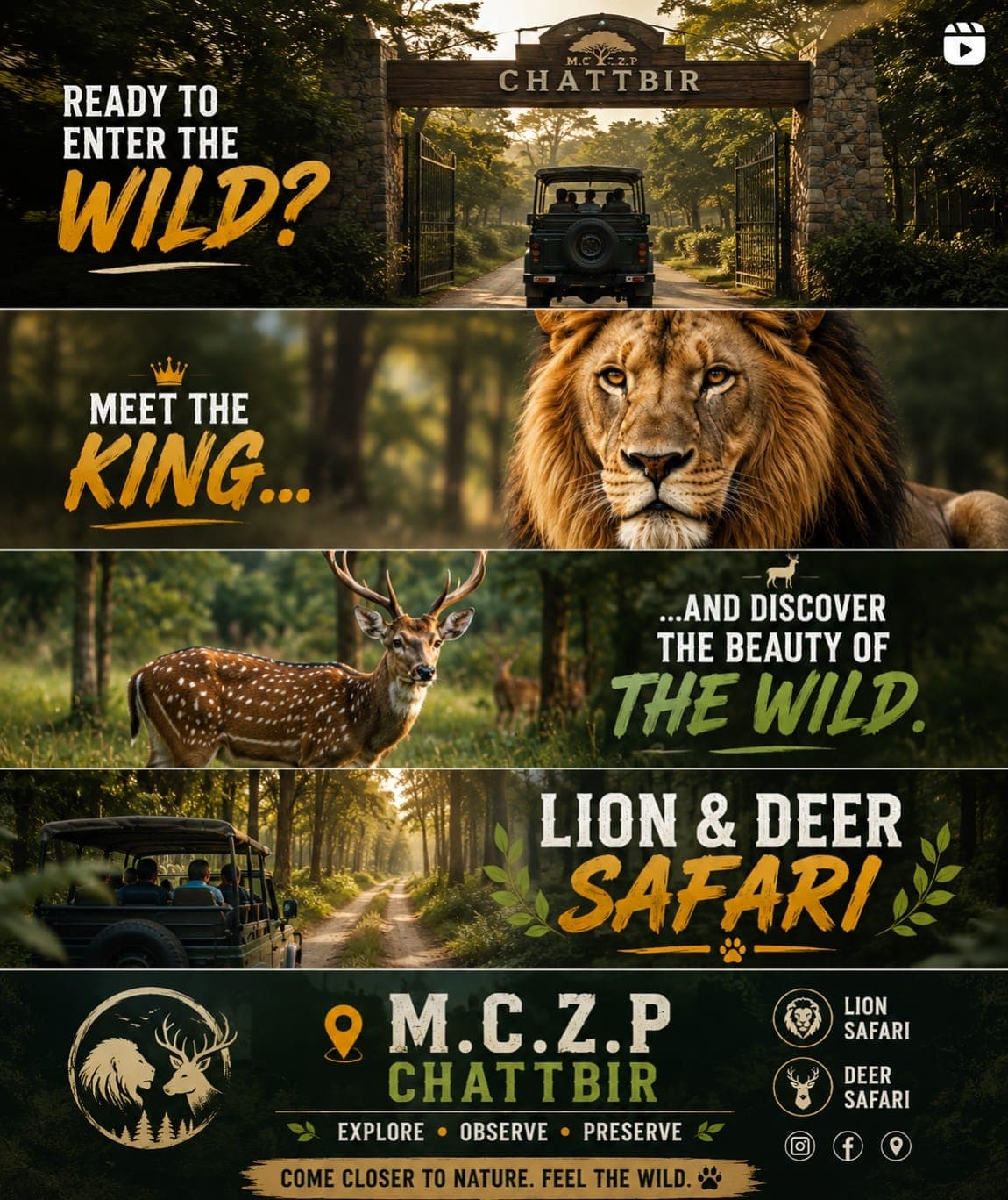 Story panels: entering the gate, meeting a lion, a spotted deer, and the safari jeep on the trail